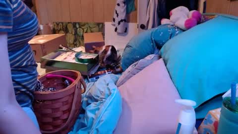 DIAN dee-ann online show from December 2024 02:54:02 AM