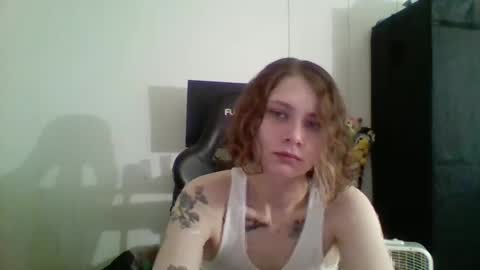 Bambi--Vodka online show from December 2024 08:22:02 PM