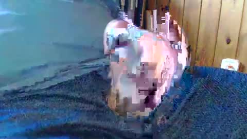 sn0man69 online show from December 2024 06:49:01 PM
