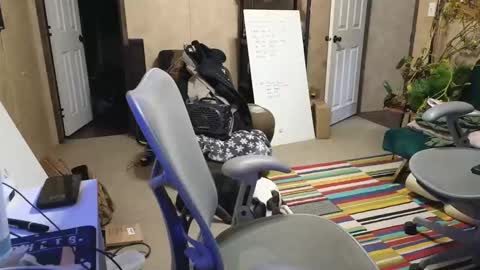 SnackMaster online show from December 2024 03:26:02 AM