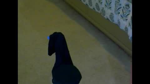 Snapshot of snizniz chatting on December 2024 04:09:01 PM snizniz online show from December 2024 04:09:01 PM