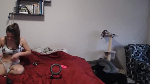 Snapshot of sofi_delightful chatting on December 2024 11:29:02 AM Sofi online show from December 2024 11:29:02 AM