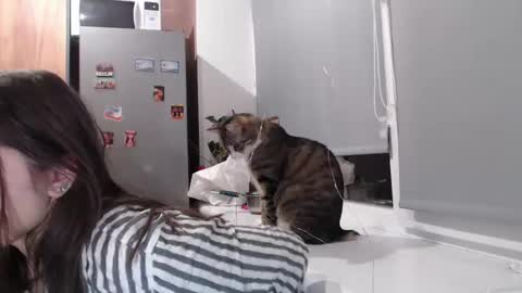 Sofi online show from February 2025 07:38:01 PM