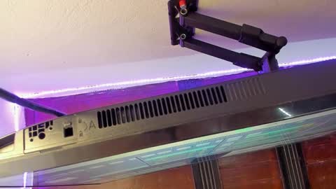 Sofia Garcia online show from October 2025 09:49:01 AM