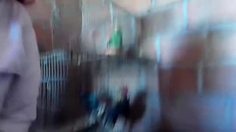 sofia gutierrez   online show from January 2025 03:43:01 PM