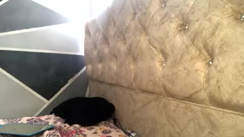 Sofia Jimenez online show from November 2025 06:18:01 PM