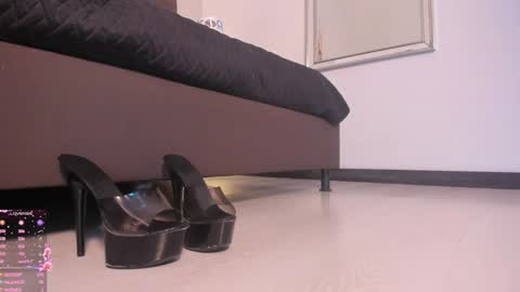      online show from January 2025 02:17:02 PM