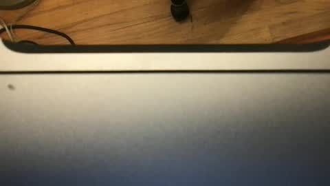 Snapshot of soflastiffyboy69 chatting on November 2025 08:19:02 PM soflastiffyboy69 online show from November 2025 08:19:02 PM