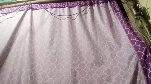 Snapshot of soft_bads chatting on September 2025 12:38:01 PM soft_bads online show from September 2025 12:38:01 PM