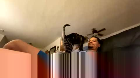 soharddr online show from October 2025 10:27:02 AM