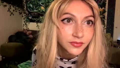 solshimmer online show from October 2025 05:39:02 AM