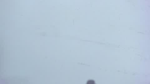 Sophia online show from January 2025 03:04:02 AM