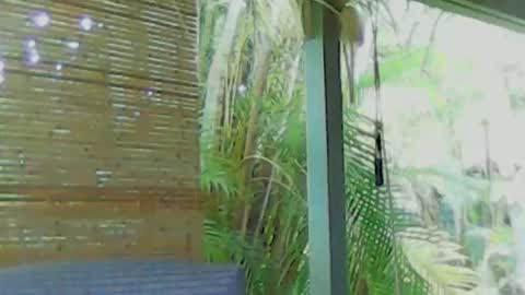 Snapshot of soveryhandsome chatting on January 2025 05:58:02 AM soveryhandsome online show from January 2025 05:58:02 AM