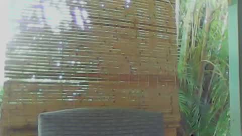 Snapshot of soveryhandsome chatting on January 2025 05:34:01 AM soveryhandsome online show from January 2025 05:34:01 AM