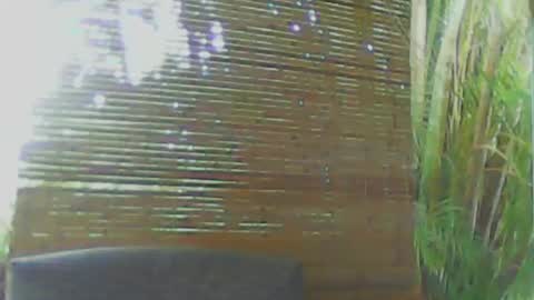 Snapshot of soveryhandsome chatting on January 2025 11:00:01 PM soveryhandsome online show from January 2025 11:00:01 PM