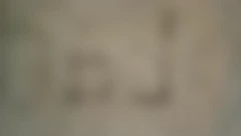 Snapshot of soveryhandsome chatting on February 2025 07:33:01 PM soveryhandsome online show from February 2025 07:33:01 PM