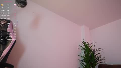 soymissy online show from September 2025 03:17:02 PM