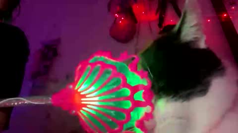 Spacegirl online show from November 2025 08:29:01 PM