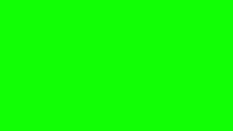 Bob online show from February 2025 12:16:02 PM