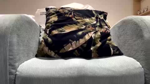 Snapshot of specialll27 chatting on February 2025 11:54:02 PM Dany online show from February 2025 11:54:02 PM