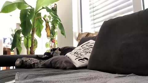 Snapshot of spritzer669 chatting on December 2024 12:28:02 PM Spritzer669 online show from December 2024 12:28:02 PM