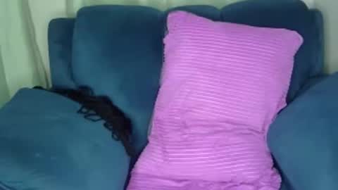 shana online show from December 2024 06:28:02 PM