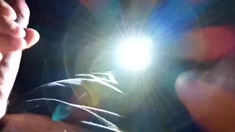 steb177 online show from November 2025 11:36:02 AM