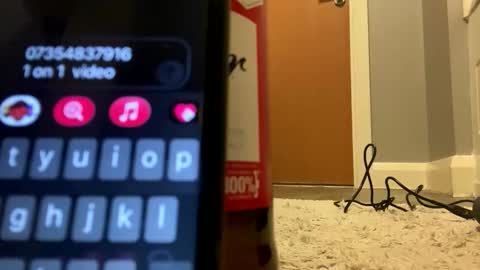 stedyson10 online show from November 2025 03:15:01 AM