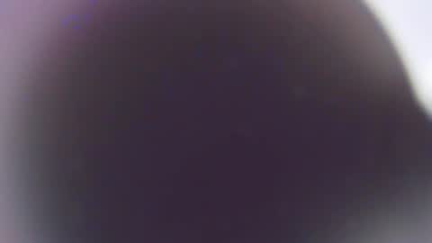 Stefano online show from December 2025 11:41:02 AM