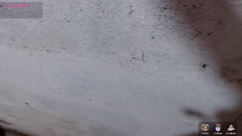 Snapshot of stefany_pablo1 chatting on November 2025 12:51:02 PM stefany_pablo1 online show from November 2025 12:51:02 PM