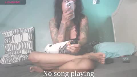 Stella Clitella online show from September 2025 11:37:01 AM