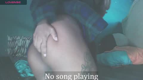 Stella Clitella online show from October 2025 11:24:01 AM