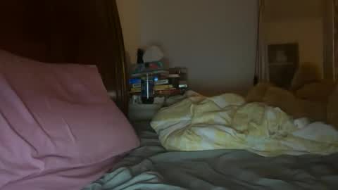 Snapshot of stellaangel chatting on October 2025 05:57:02 AM stellaangel online show from October 2025 05:57:02 AM