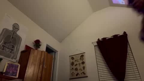 stellakobra online show from November 2025 08:11:02 AM