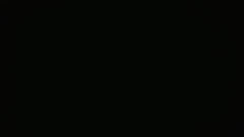 Steman online show from February 2025 03:20:02 PM