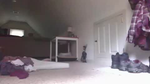 steve online show from October 2025 05:57:01 PM