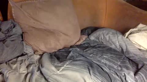 STEVE CASHMASTER 1comedia online show from February 2025 04:14:02 PM