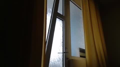 Steven online show from January 2025 12:06:02 PM