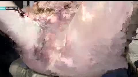 steve online show from January 2025 08:37:01 PM