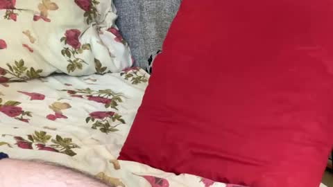 Chris online show from October 2025 11:22:02 AM