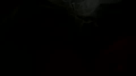 Snapshot of stockungs chatting on February 2025 10:38:02 AM stockungs online show from February 2025 10:38:02 AM