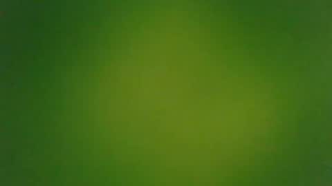 stonedandlovingit online show from March 2025 01:42:01 PM