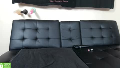 Snapshot of studiowahines chatting on March 2025 03:46:02 AM StudioWahines online show from March 2025 03:46:02 AM