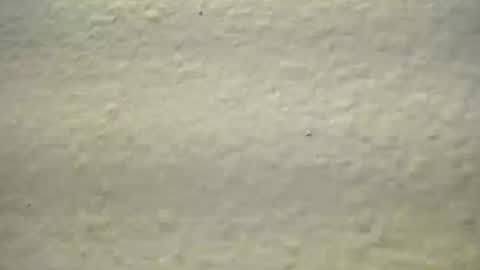 Snapshot of subswichuser00060960 chatting on October 2025 01:52:01 PM subswitchuser online show from October 2025 01:52:01 PM