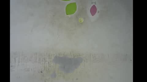 Bella online show from November 2025 08:58:02 AM