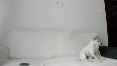 Snapshot of summer_sunshine_ chatting on October 2025 02:34:01 AM Angel PVT show open online show from October 2025 02:34:01 AM