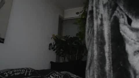 Snapshot of sundicksun chatting on December 2024 07:59:02 PM s online show from December 2024 07:59:02 PM