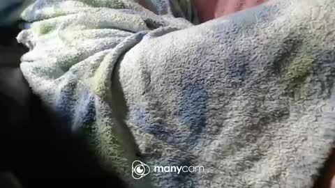 sven online show from November 2025 07:04:02 PM