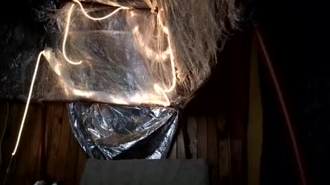 super jony and Marta GMT 1300-1800 every day online show from October 2025 02:17:01 AM