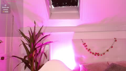 sweet blueberry  online show from February 2025 01:44:01 PM